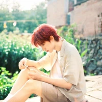 Hạ Tuấn Lâm