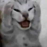 t/g bị dealine dí