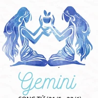 ♊
