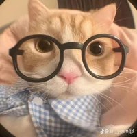 hệ thống cl