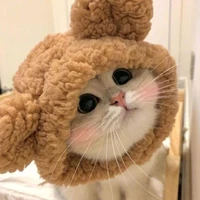 eliha classic (hoặc my ,em họ tg và lay