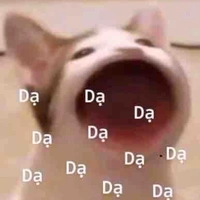 Fan nhà mình 🤡