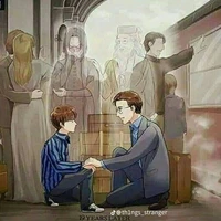 Bị cuồng Sev-Tác giả