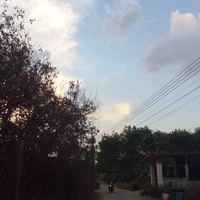 Bốn top(Nhã,Hoà,Đẳng,Ngân)