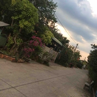 Cả lớp
