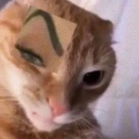 Tg