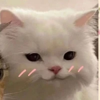 Chính là BẠN- người siu cấp cute