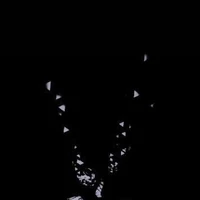 Cân mọi vai diễn