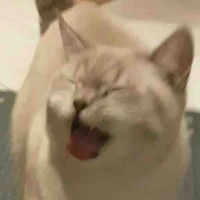 K. H