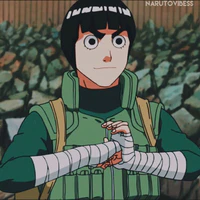 Rook lee