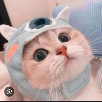 tác giả cuti đa cấp vũ trụ