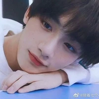 Đinh Trình Hâm (cậu)