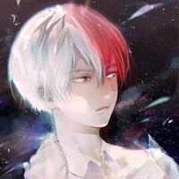 Todoroki Shoto_Shoto