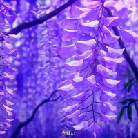 Tất cả mọi người