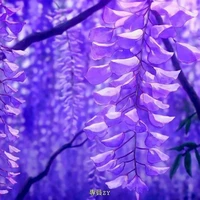 Tất cả mọi người