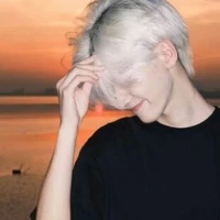 Hàn Thần Phong-anh