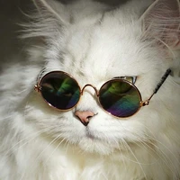Tgiả