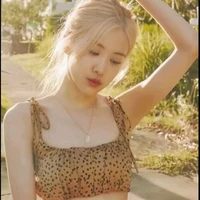 Park Chaeyoung (Nàng)