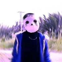 mix ngáo chó