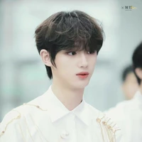 đinh trình hâm