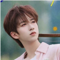 Hạ Tuấn Lâm