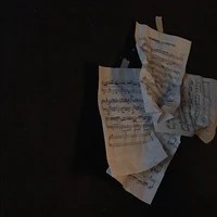 Trần Song Tử¹⁷