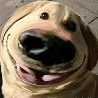 tác giả siu siu đẹp zai