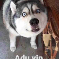 T/g đêyyyy