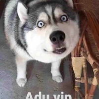 T/g đêyyyy