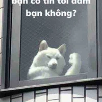 Tác giả rảnh rang 