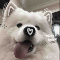 @NghiemThai_TieuThaiBao