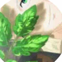 Umemiya Hajime (@U.hajm)