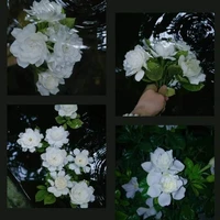 Nhân vật chính kiếp trước