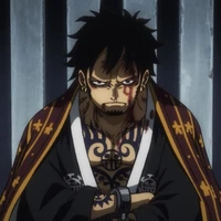 Law