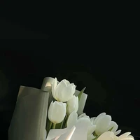 LTS_Hoa_Lớn