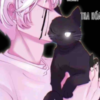 ST_Hiha tha hóa