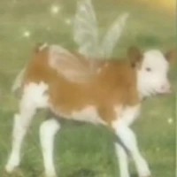 tg bị simp truyện=))