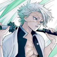 shinazugawa sanemi ( hhs )