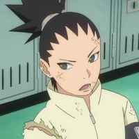 Nara Shikadai