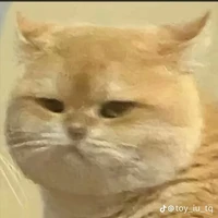 ThanhNguyen _Quản lý