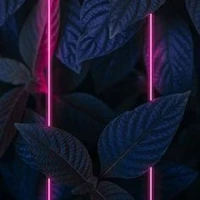 đội 8