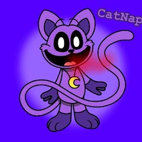 Catnap