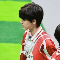 Trương Trạch Vũ-Bảo