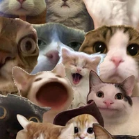Băng Beat hours 