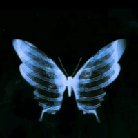 em nè mấy má🙂👋