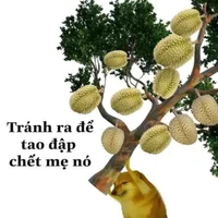 Lớp 10A1