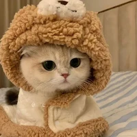 Pazz(tác giả)