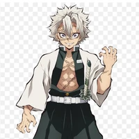 sanemi shinazukawa