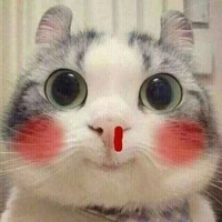 T/G mê trai