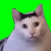 T/G